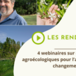 Les rendez-vous d'Osaé - Comment concilier production de vanille en sous-bois et biodiversité ?