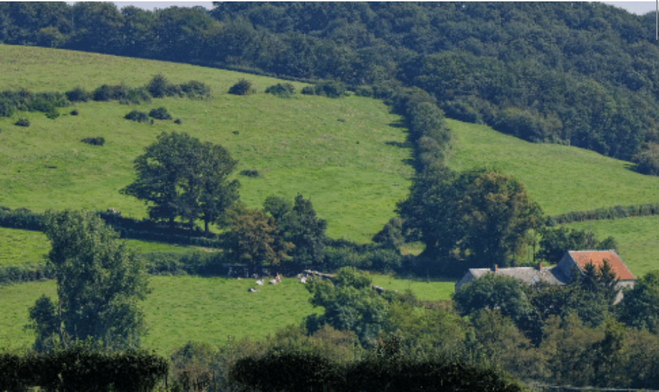 Agir pour la transition agricole et alimentaire de mon territoire - Formation FNAB